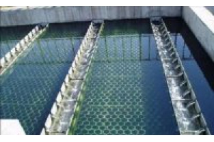 【干货】生物滤池为什么一受冲击氨氮去除率就会下降?
